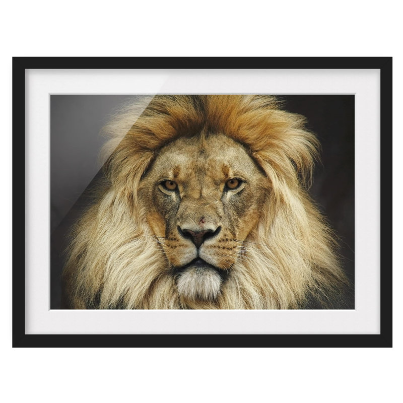 East Urban Home Wisdom of the Lion Picture Frame Graphic Art Print on